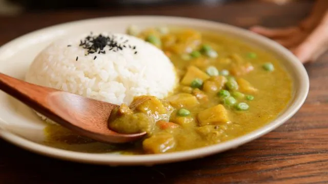 Vegetable Korma with Rice